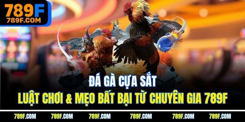 Đá Gà Cựa Sắt | Luật Chơi & Mẹo Bất Bại Từ Chuyên Gia 789F
