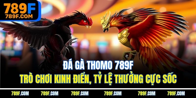 Đá Gà Thomo 789f - Trò Chơi Kinh Điển, Tỷ Lệ Thưởng Cực Sốc