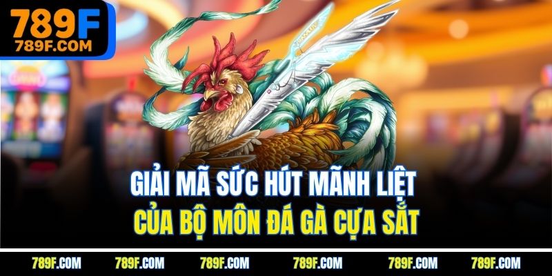 Giải mã sức hút mãnh liệt của bộ môn đá gà cựa sắt