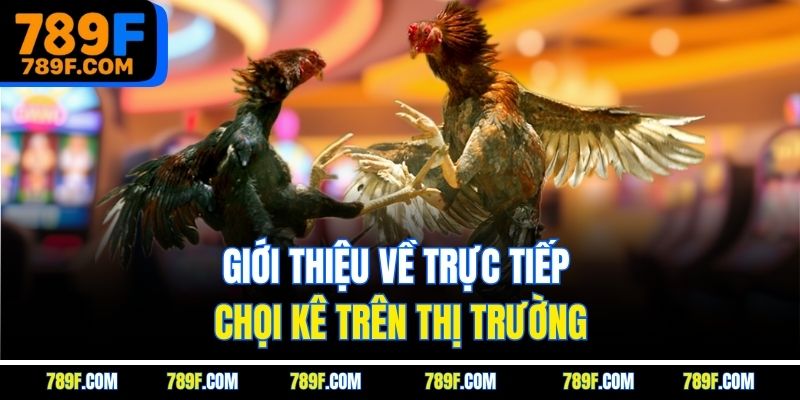 Giới thiệu về trực tiếp chọi kê trên thị trường