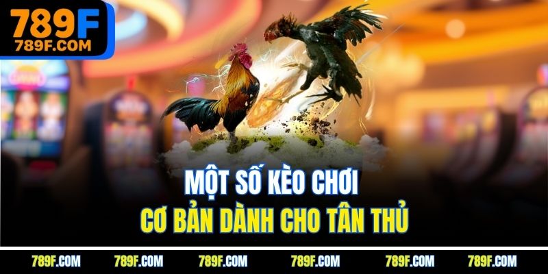 Một số kèo chơi cơ bản dành cho tân thủ