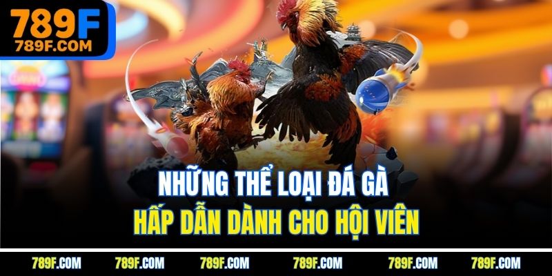 Những thể loại đá gà hấp dẫn dành cho hội viên