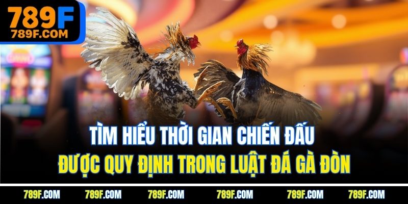 Tìm hiểu thời gian chiến đấu được quy định trong luật đá gà đòn