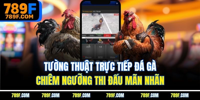 Tường Thuật Trực Tiếp Đá Gà | Chiêm Ngưỡng Thi Đấu Mãn Nhãn