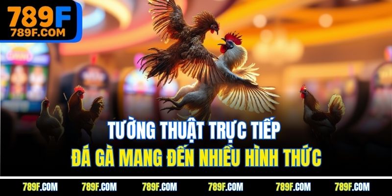 Tường thuật trực tiếp đá gà mang đến nhiều hình thức